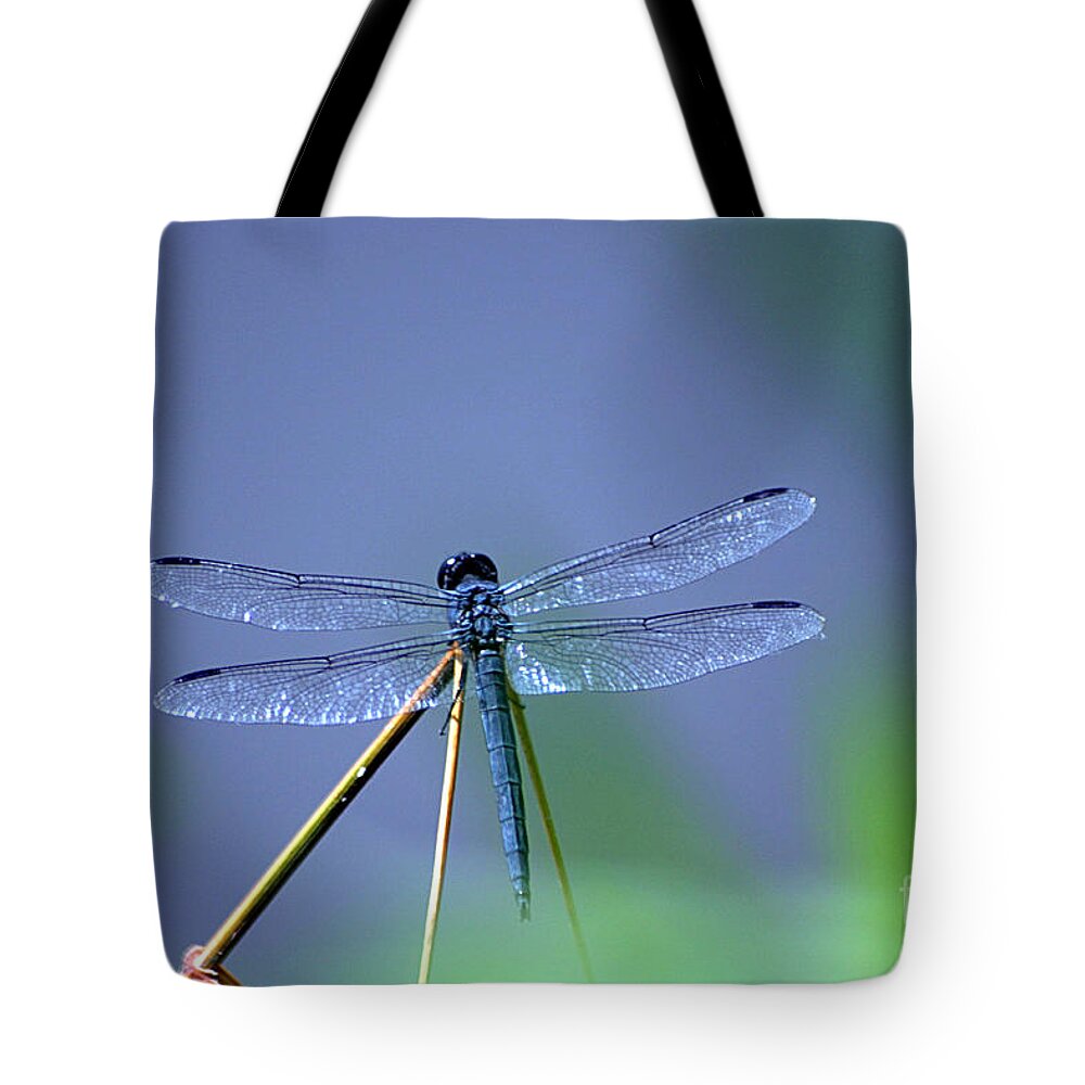 Dragon Fly Tote Bag featuring the photograph Blue Dragon by Living Color Photography Lorraine Lynch