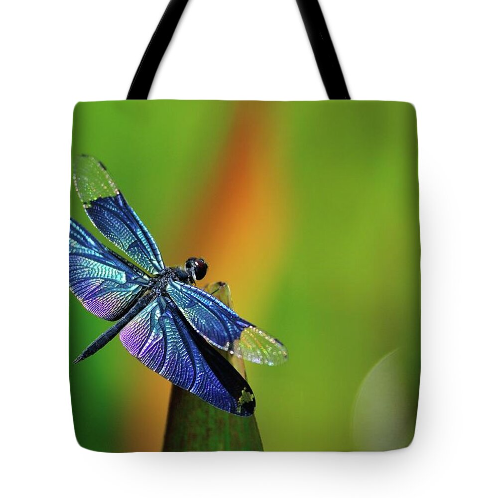 Dragonfly theme Tote bag