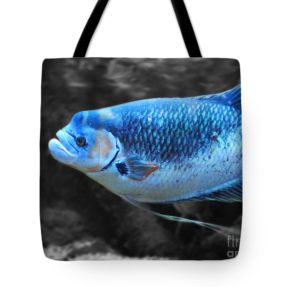 Blue Tote Bag featuring the photograph Blue Fish by Jai Johnson