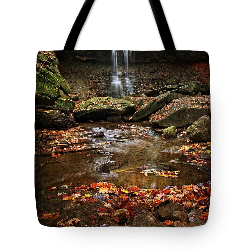 Water Tote Bag featuring the photograph Blue Hen Falls In Autumn by Dale Kincaid