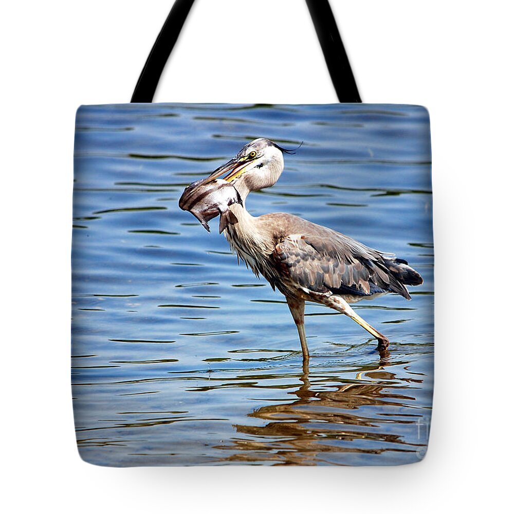  Anclote Gulf Park Tote Bag featuring the photograph Blue Heron and Fish by John Greco