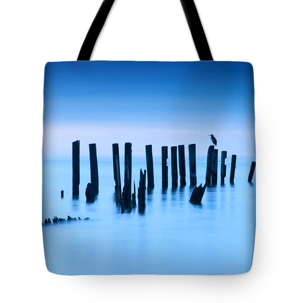 Blue Heron Tote Bag featuring the photograph Blue Heron in Blue by Jennifer Casey
