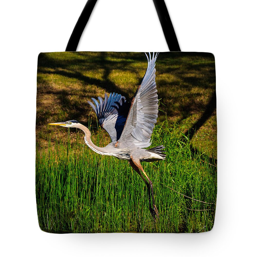 Blue Heron Tote Bag featuring the photograph Blue Heron in flight by John Johnson