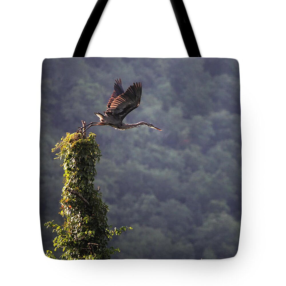 Blue Heron Tote Bag featuring the photograph Blue Heron Leaving Snag by Michael Dougherty