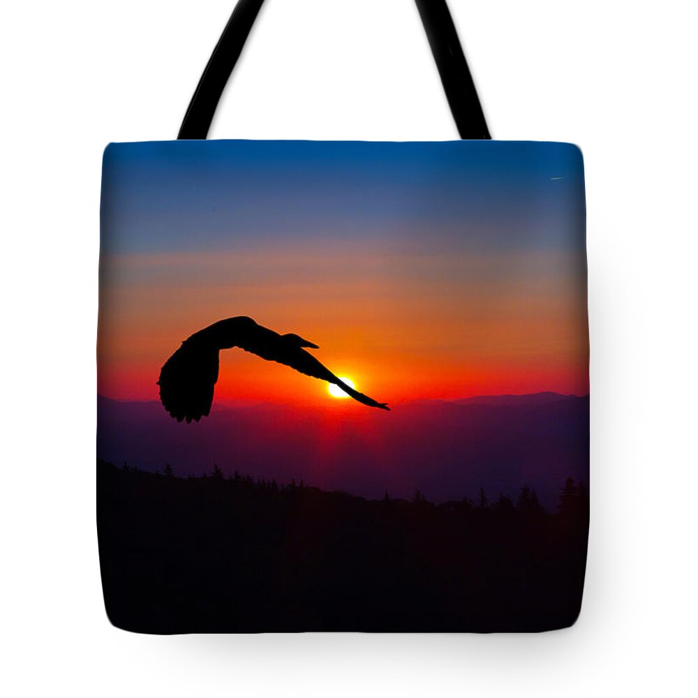 Heron Tote Bag featuring the photograph Blue Heron Rising with the Sun by John Haldane