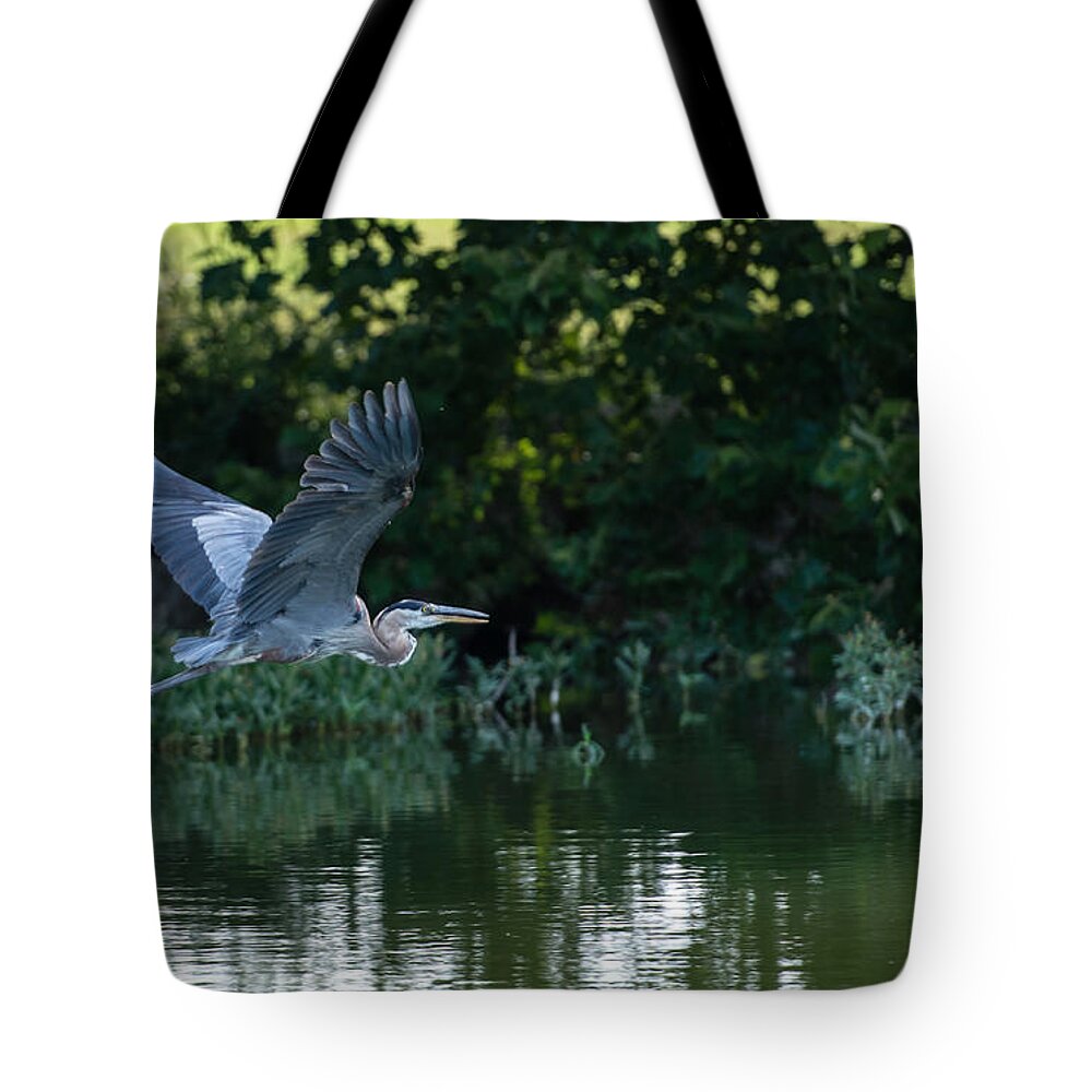 Blue Heron Tote Bag featuring the photograph Blue Heron take-off by John Johnson