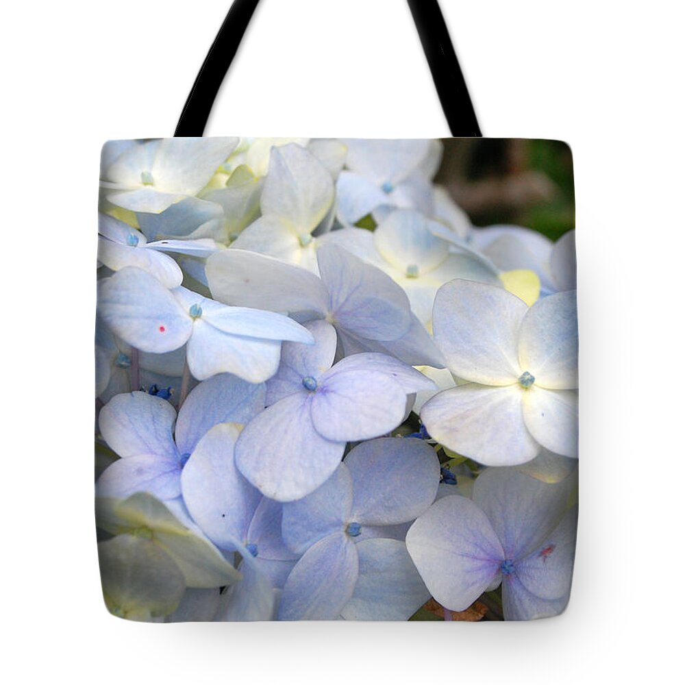 Flower Tote Bag featuring the photograph Blue Hydrangea Flowers by Amy Fose