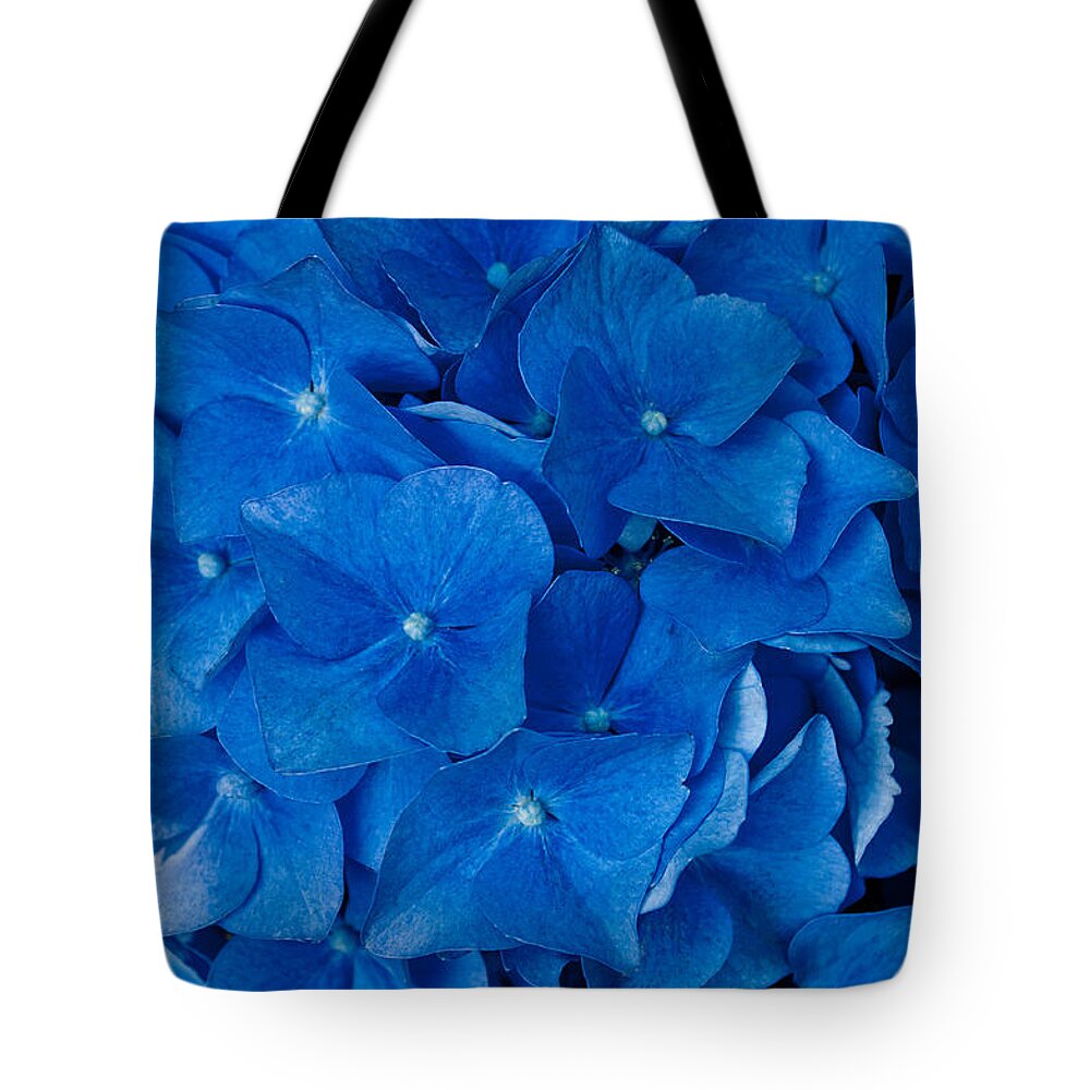 Blue Hydrangea Tote Bag featuring the photograph Blue Hydrangea II by Tikvah's Hope