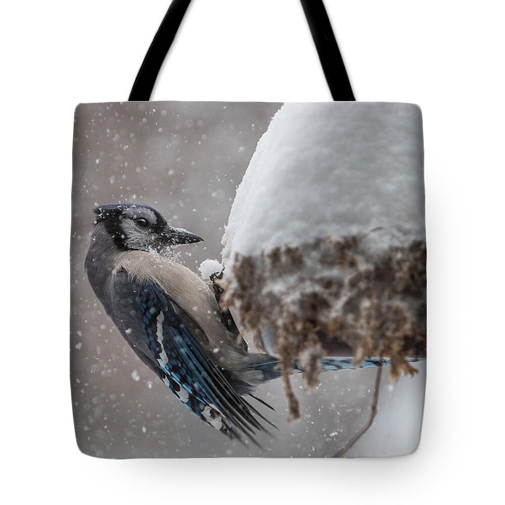 Bird Tote Bag featuring the photograph Blue Jay in a Snow Storm by Patti Deters