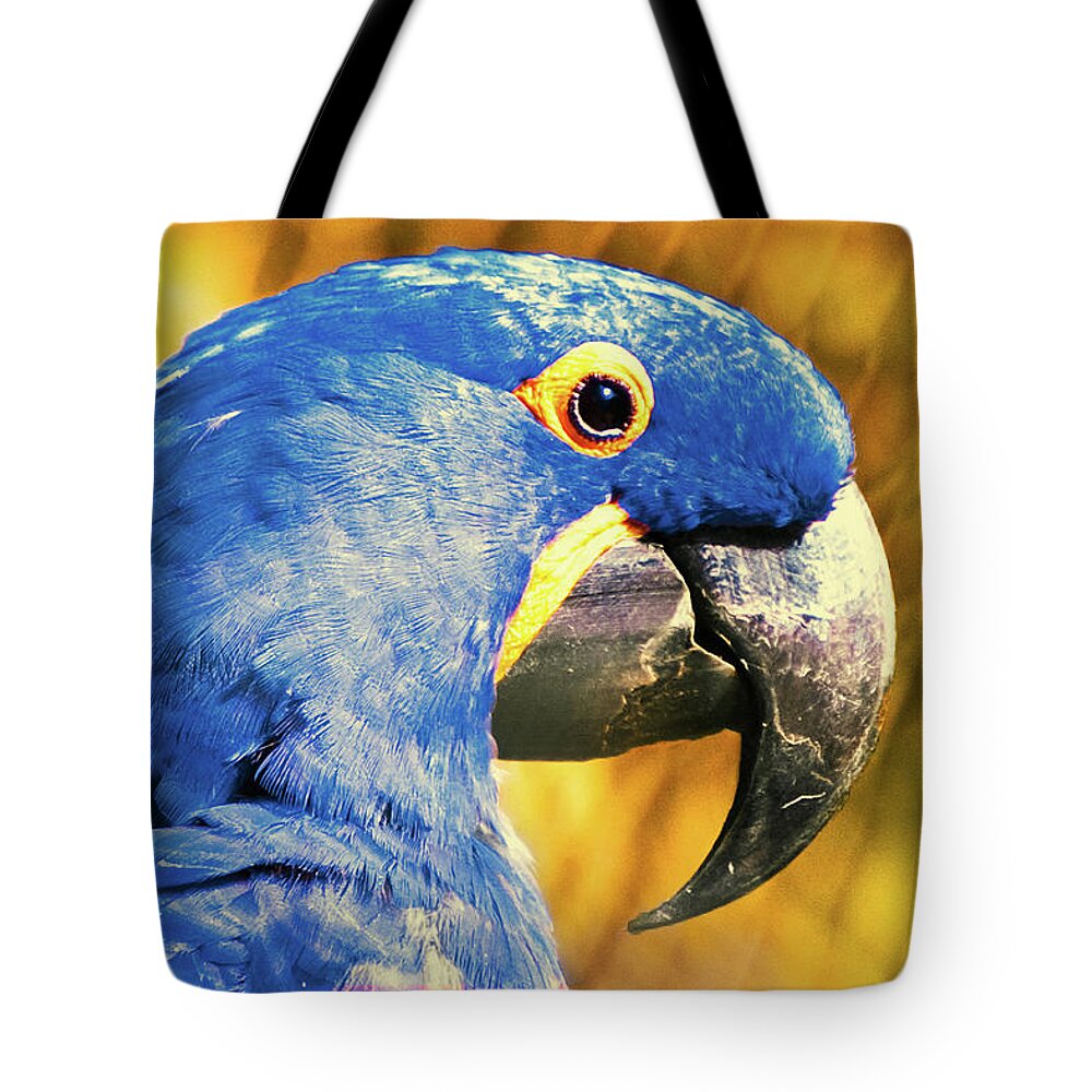 Macaw Tote Bag featuring the photograph Blue Macaw by Daniel B Begiato