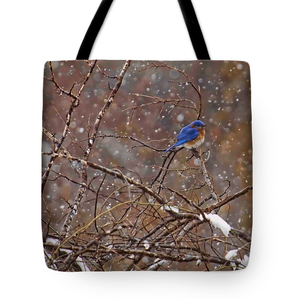 Blue Norther Tote Bag featuring the photograph Blue Norther by Gary Holmes