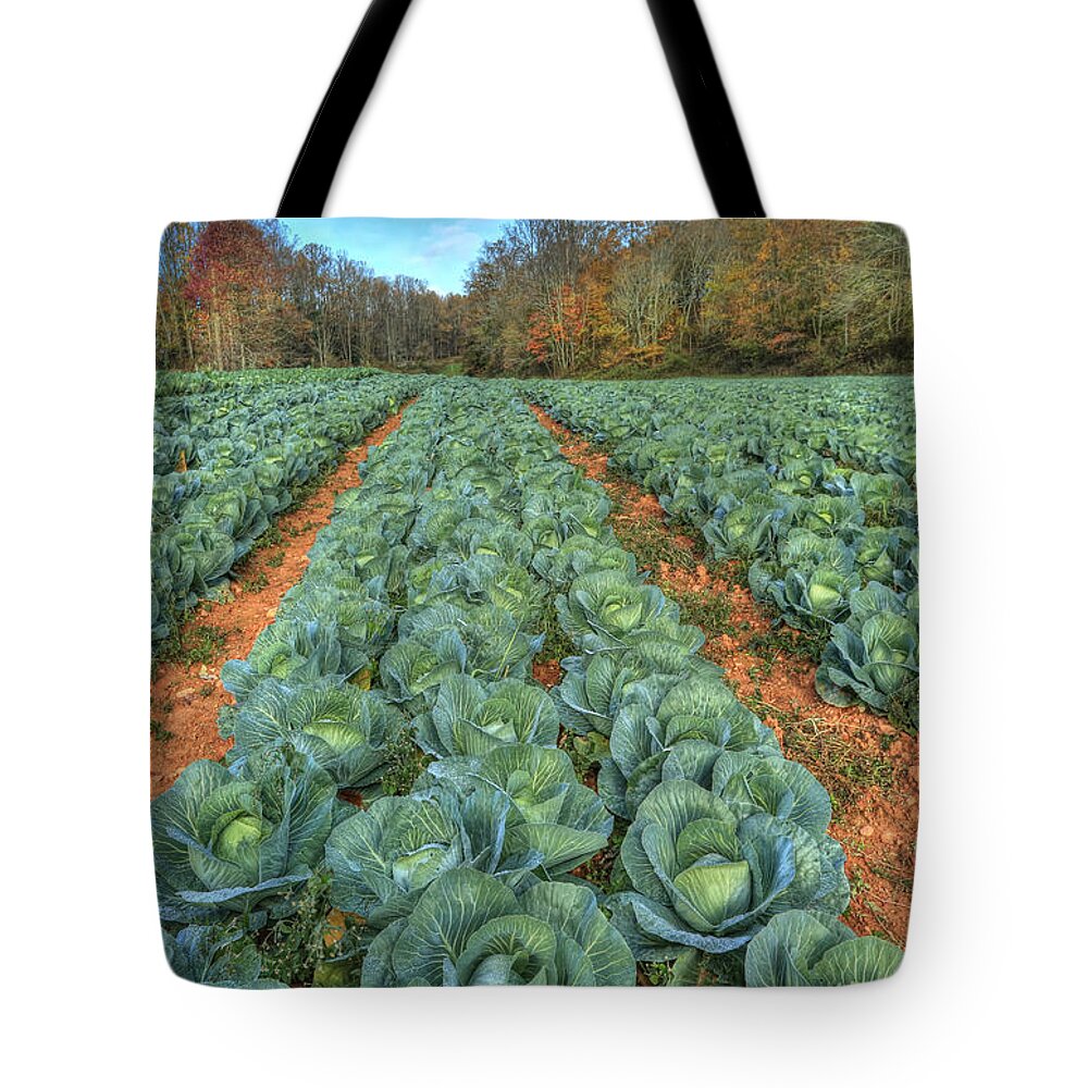 Cabbage Patch Tote Bag featuring the photograph Blue Ridge Cabbage Patch by Jaki Miller