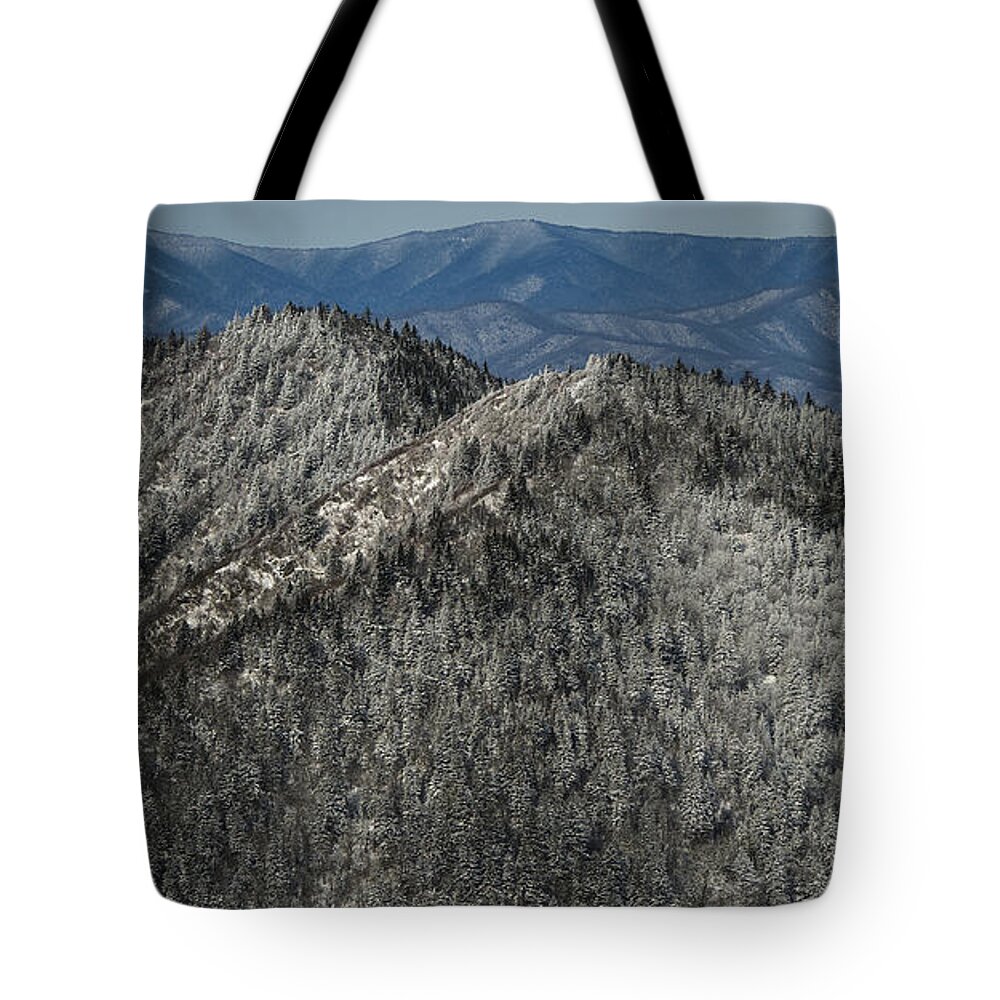 North Carolina Tote Bag featuring the photograph Blue Ridge Parkway Visitor's Center at Waterrock Knob #1 by David Oppenheimer