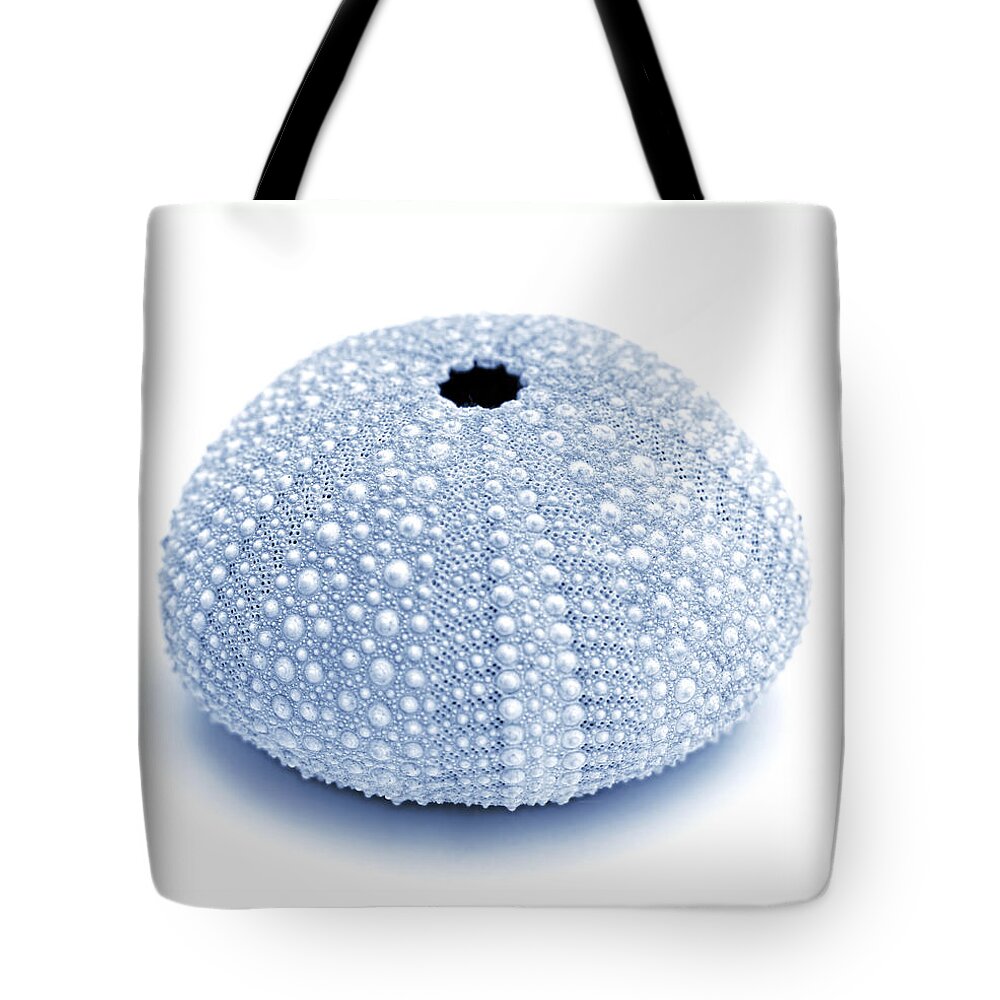 Sea Urchin Tote Bag featuring the photograph Blue Sea Urchin White by Jennie Marie Schell