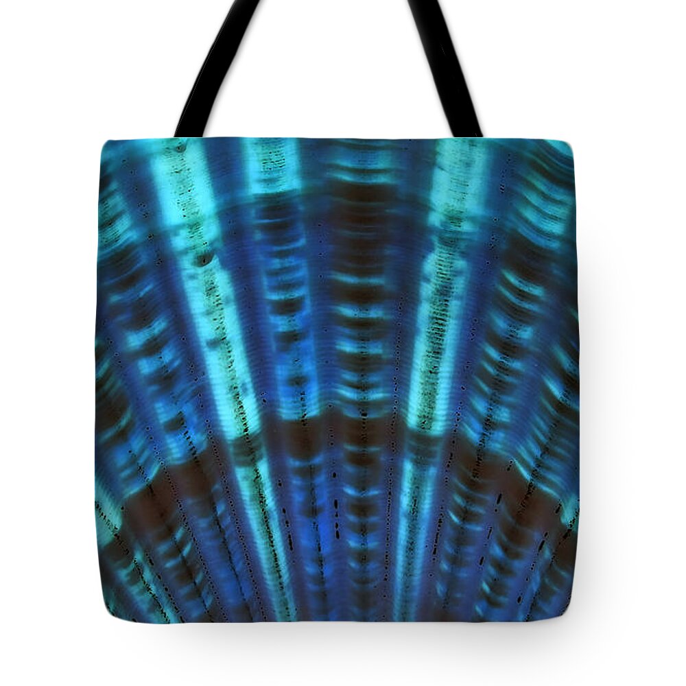 Seashell Tote Bag featuring the photograph Deep Blue Deception... by Tammy Schneider