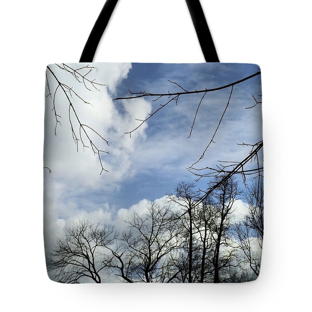 Winter Tote Bag featuring the photograph Blue Skies of Winter by Robyn King