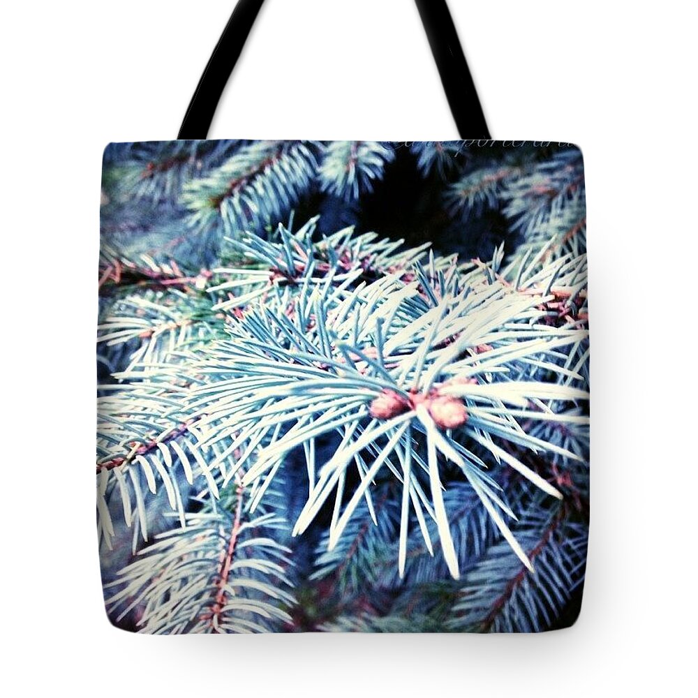 Blue Tote Bag featuring the photograph Blue Spruce Branches by Anna Porter