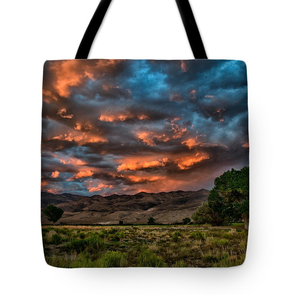Sunset Tote Bag featuring the photograph Blue Sunset by Cat Connor