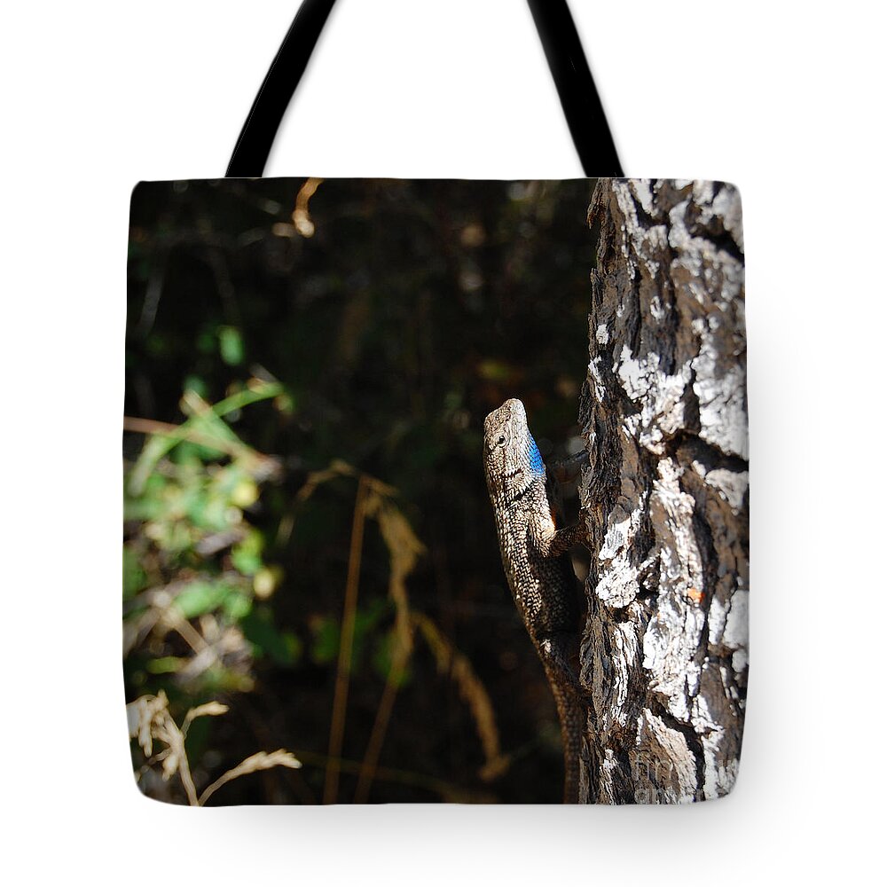Lizard Tote Bag featuring the photograph Blue Throated Lizard 1 by Debra Thompson