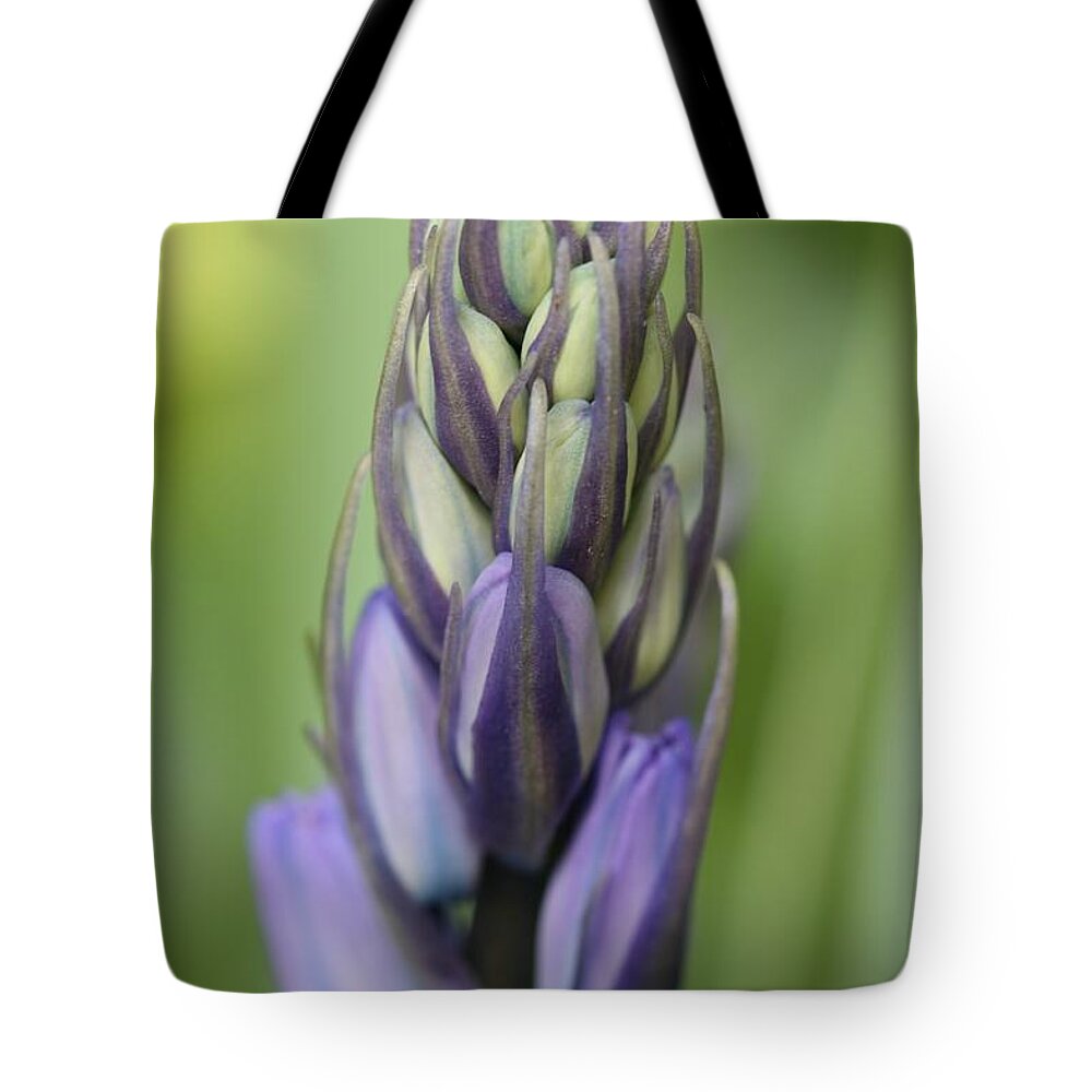 Bluebell Tote Bag featuring the photograph Bluebell Buds by Mark Severn