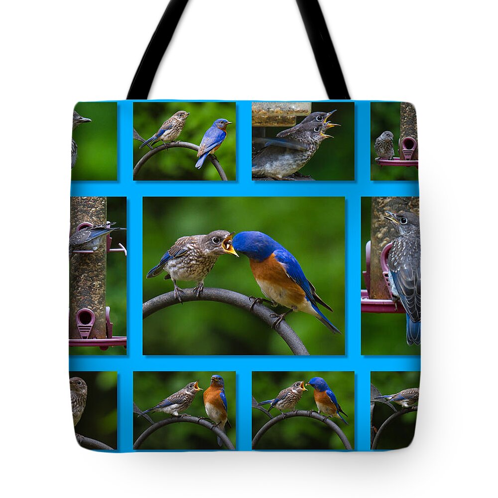 Bluebird Tote Bag featuring the photograph Bluebird Collage by Robert L Jackson