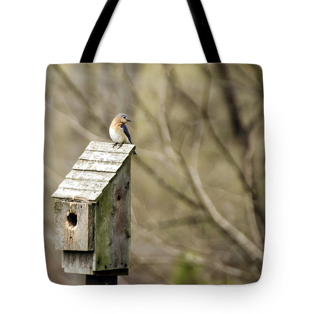 Eastern Tote Bag featuring the photograph Bluebird House by Heather Applegate