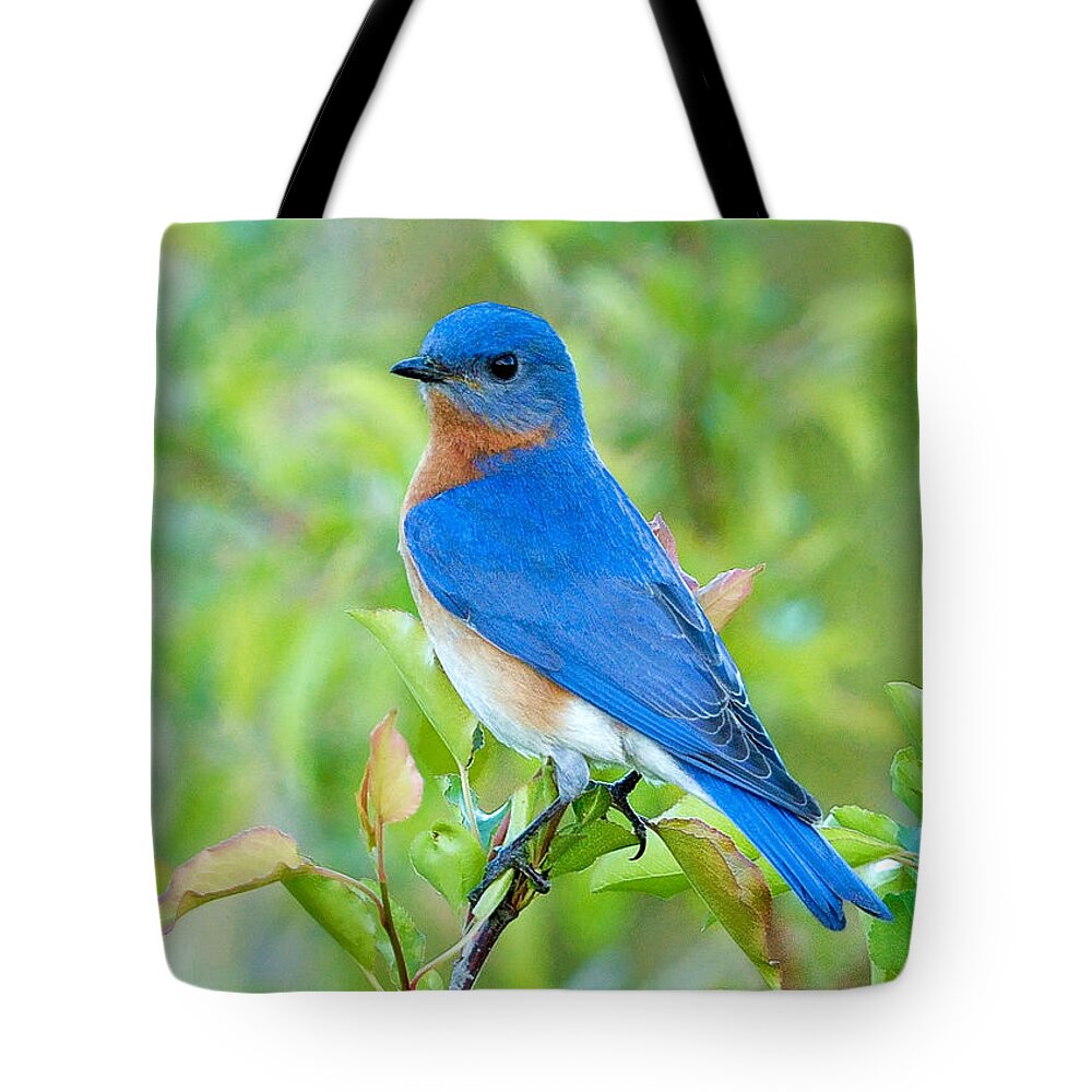 Bluebird Tote Bag featuring the photograph Bluebird Joy by William Jobes