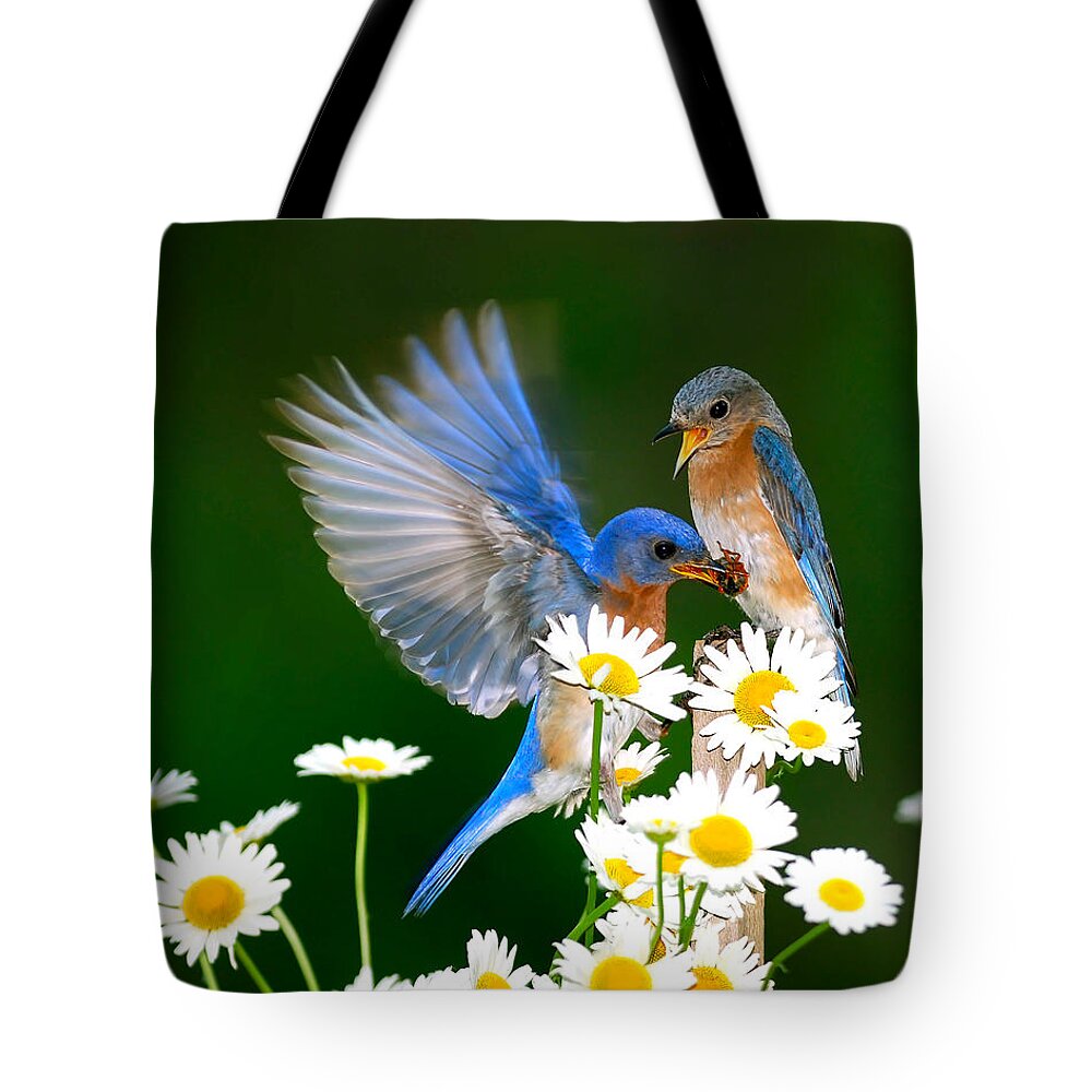 Bluebirds Tote Bag featuring the photograph Bluebirds and Daisies by Randall Branham