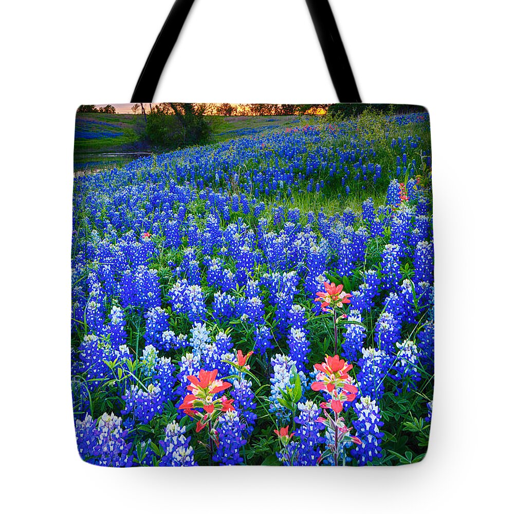 America Tote Bag featuring the photograph Bluebonnets Forever by Inge Johnsson