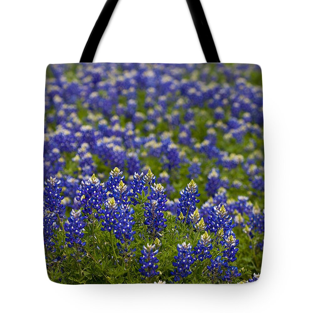 Texas Bluebonnet Tote Bag featuring the photograph Bluebonnets Forever by Mark Alder