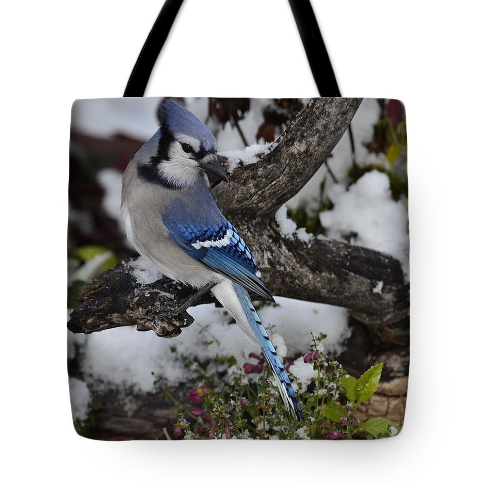 Bluejay-in Snow-posed Beautifully-still Bright Pink Flowers-gray Log- Best Selling Image- Blue Jay- Hot Pink Flowers- Skullcap Pink Flowers In Snow- With Blue Feathered Bird- Bluejay In White And Hot Pink - Hot Item(art-photography Images By Rae Ann M. Garrett- Raeann Garrett) Tote Bag featuring the photograph Bluejay Snow  P10 by Rae Ann M Garrett
