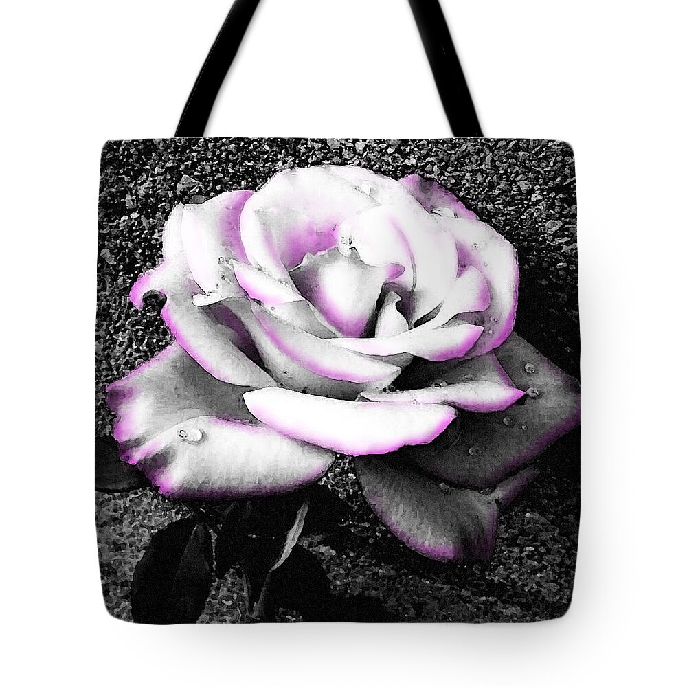 Black And White Rose Tote Bag featuring the photograph Blushing White Rose by Shawna Rowe