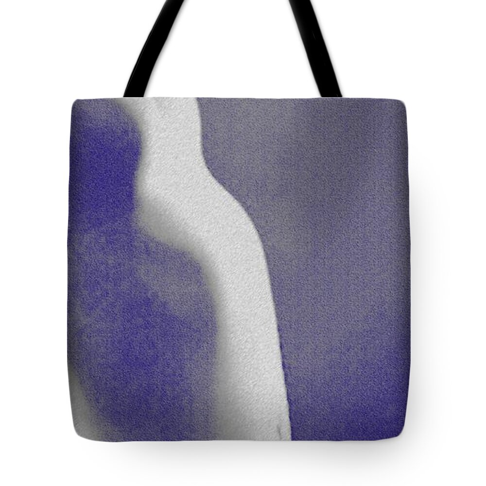 Nude Tote Bag featuring the digital art Body Waves 7 by Piety Dsilva