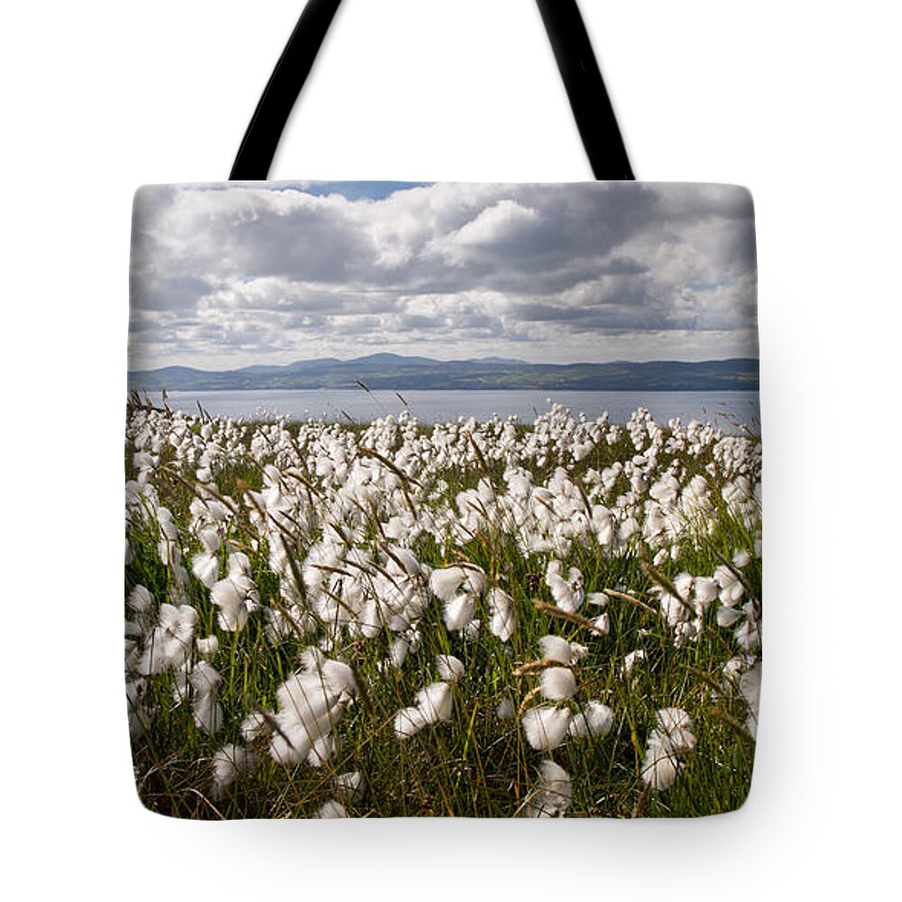 Binevenagh Tote Bag featuring the photograph Bog Cotton on Binevenagh by Nigel R Bell