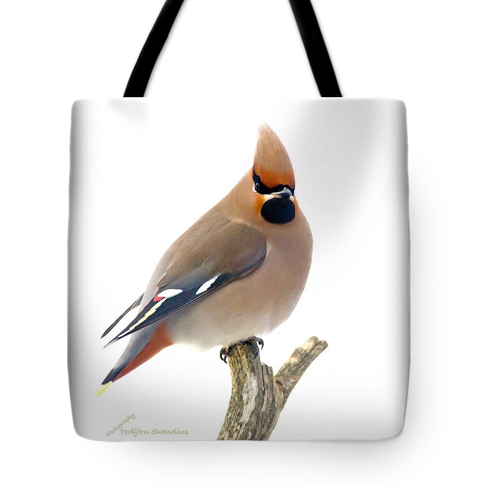 Bohemian Waxwing Tote Bag featuring the photograph Bohemian Waxwing by Torbjorn Swenelius