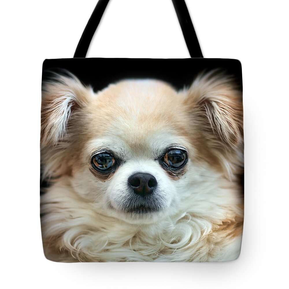Dog Tote Bag featuring the photograph Bonnie by Nikolyn McDonald