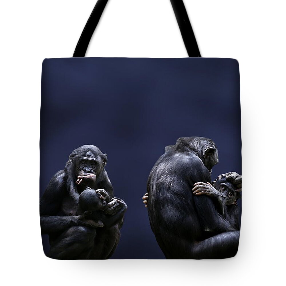 Fort Worth Tote Bag featuring the photograph Bonobo Mothers And Babies by © Debi Dalio