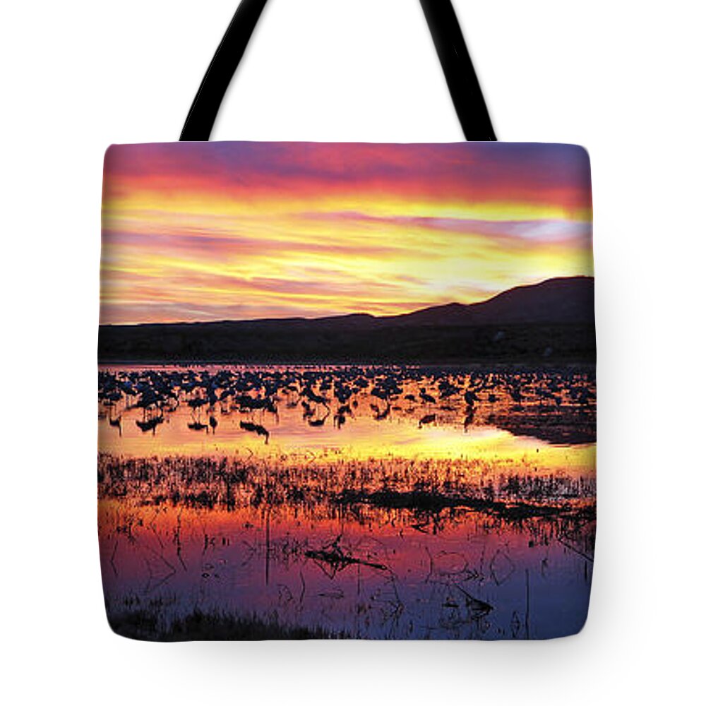 Panorama Tote Bag featuring the photograph Bosque Del Apache by Steven Ralser