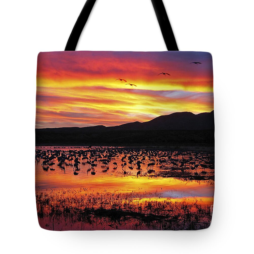 Ralser Tote Bag featuring the photograph Bosque sunset II by Steven Ralser