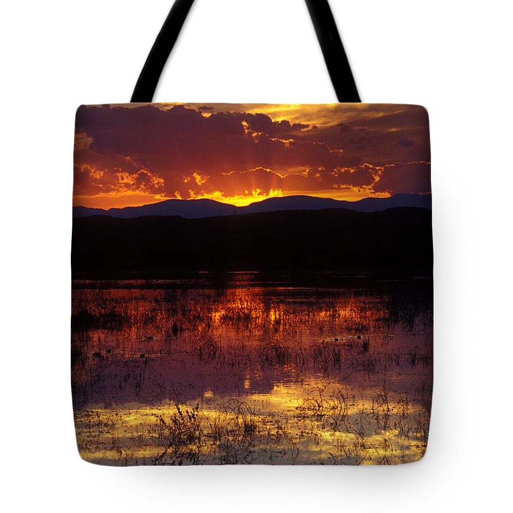Bosque Tote Bag featuring the photograph Bosque Sunset - orange by Steven Ralser