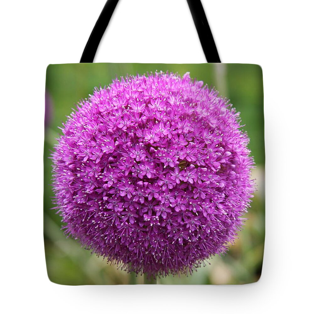 Allium Tote Bag featuring the photograph Boston Flower Globe by Christiane Schulze Art And Photography