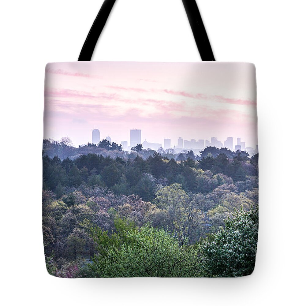 Boston Tote Bag featuring the photograph Boston Skyline from Peters Hill by Susan Cole Kelly