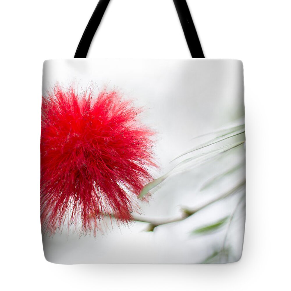 Canada Tote Bag featuring the photograph Botanical Conservatory 6 by Jakub Sisak