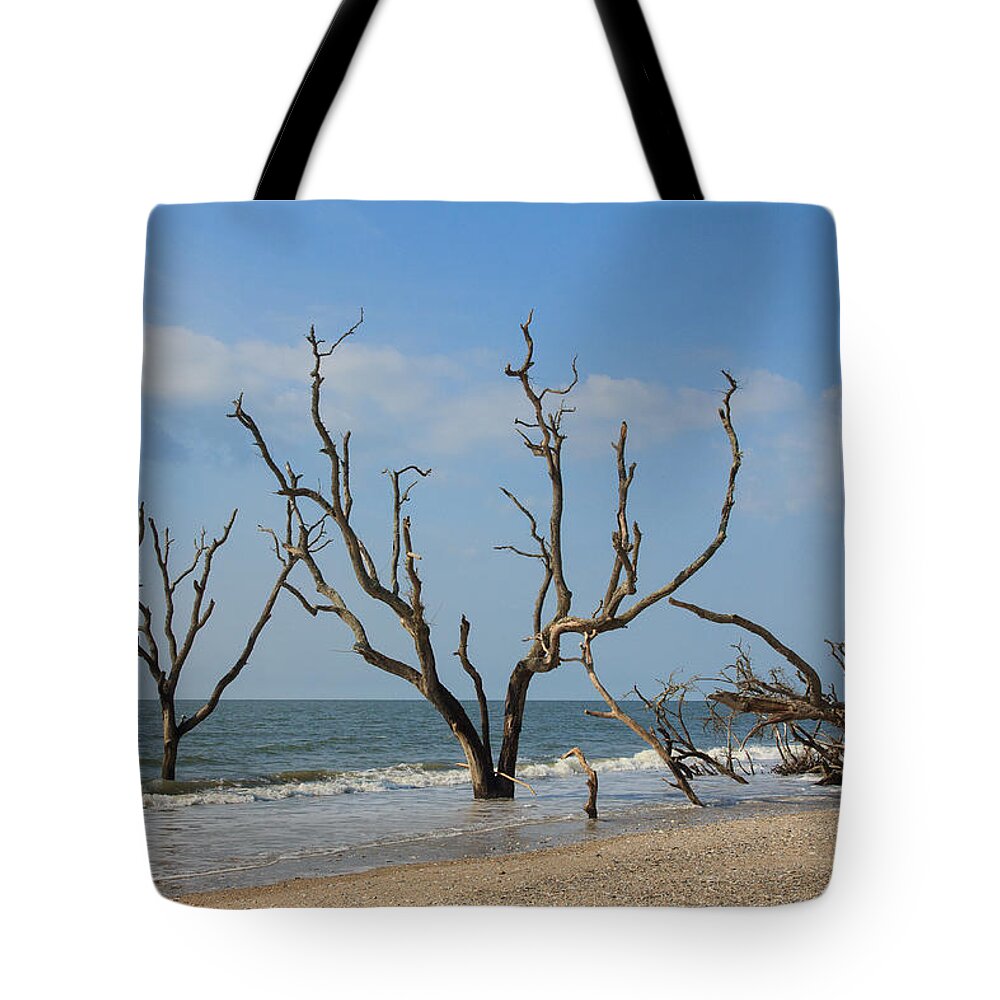 South Carolina Tote Bag featuring the photograph Botany Beach by Patricia Schaefer