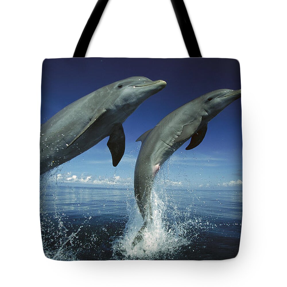Feb0514 Tote Bag featuring the photograph Bottlenose Dolphin Pair Leaping Honduras by Konrad Wothe