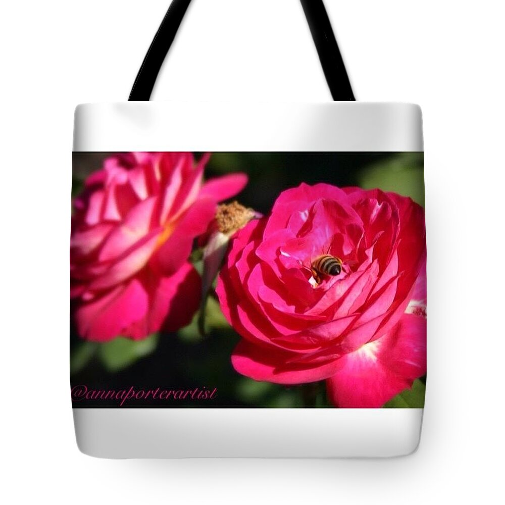 Rosecity Tote Bag featuring the photograph Bottoms Up ... A Busy #bee At The by Anna Porter