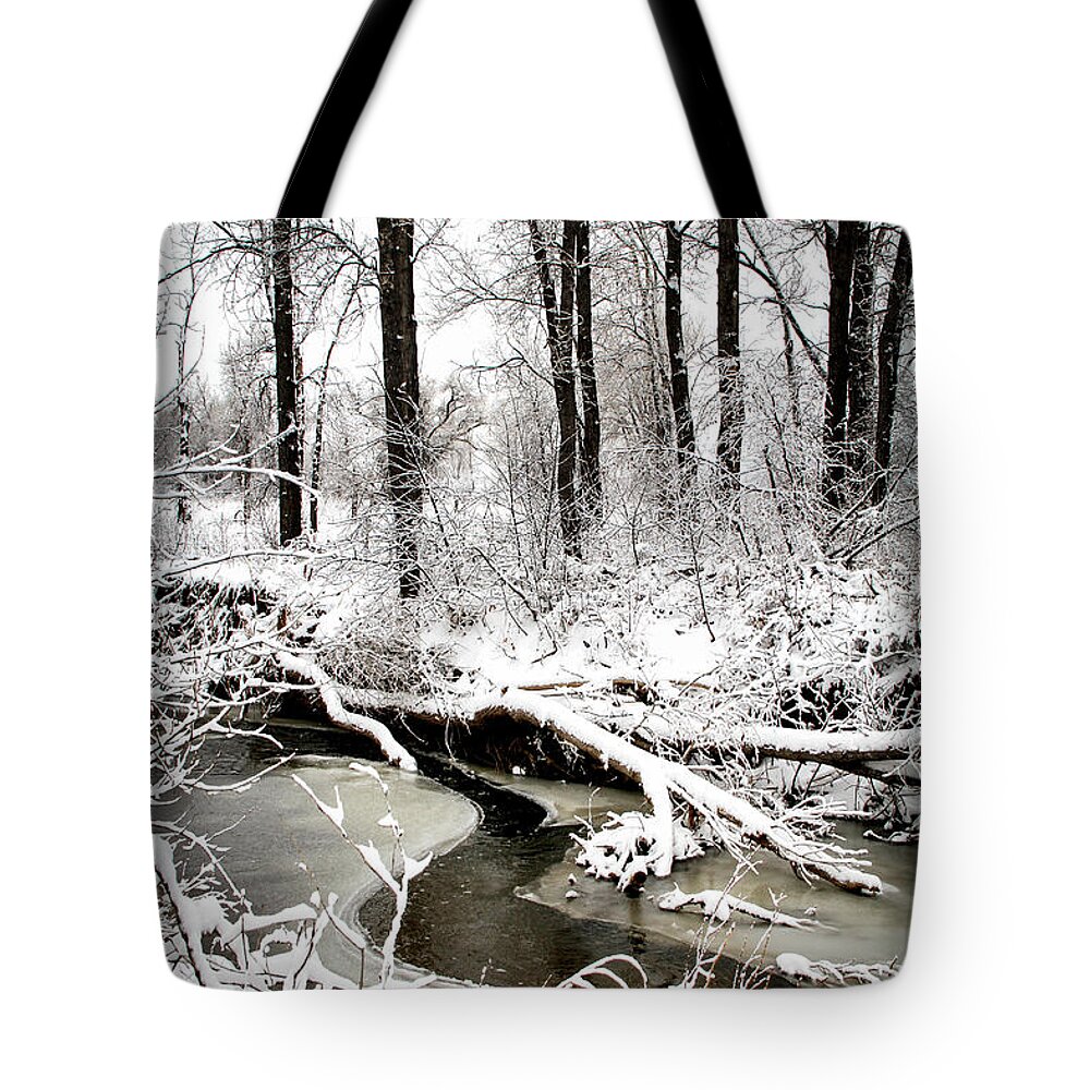 Boulder Winter Tote Bag featuring the photograph Boulder Creek at Bobolink Trail by Juli Ellen