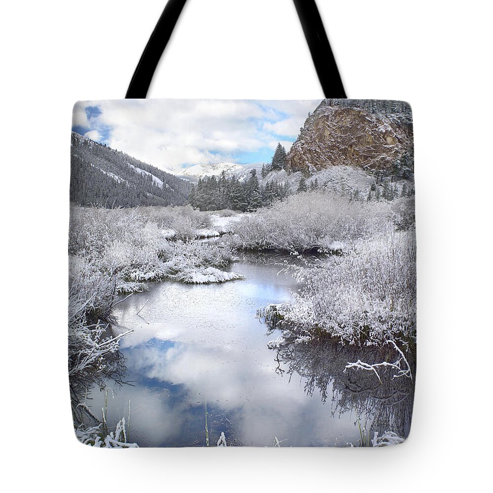 Feb0514 Tote Bag featuring the photograph Boulder Mountains And Summit Creek Idaho by Tim Fitzharris