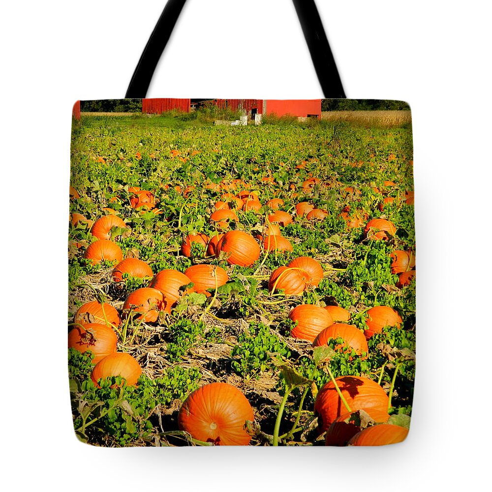 Brown's Farm Tote Bag featuring the photograph Bountiful Crop by Kathy Barney