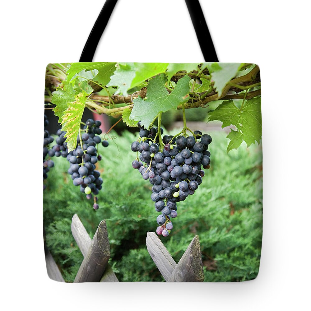 Hanging Tote Bag featuring the photograph Bountiful Harvest by Diephosi